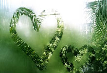 皇冠体育：胜平，阿根廷在过去场对阵巴西的比赛中未尝败绩.