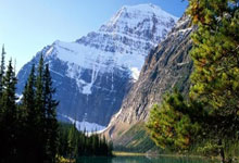 刘维伟老婆突发更新社媒，刘维伟疑似出轨，球迷评论得到点赞.